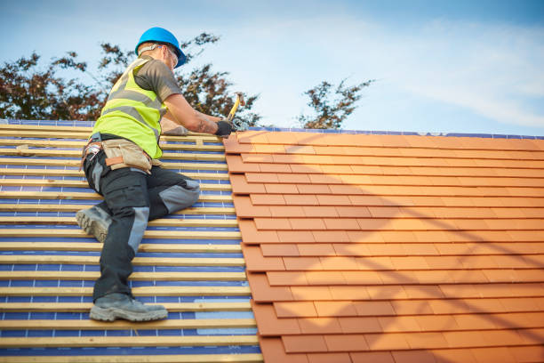 Best Roof Maintenance and Cleaning  in Brenham, TX